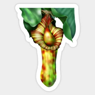 Nepenthes, Pitcher Plant Art Sticker